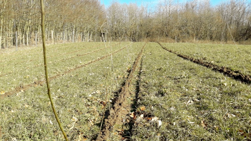 malente-flaeche-1_imageslider