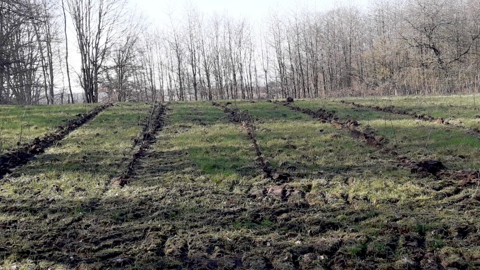 malente-flaeche-2_imageslider