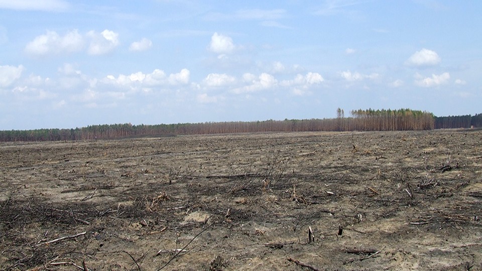 braches-land_imageslider