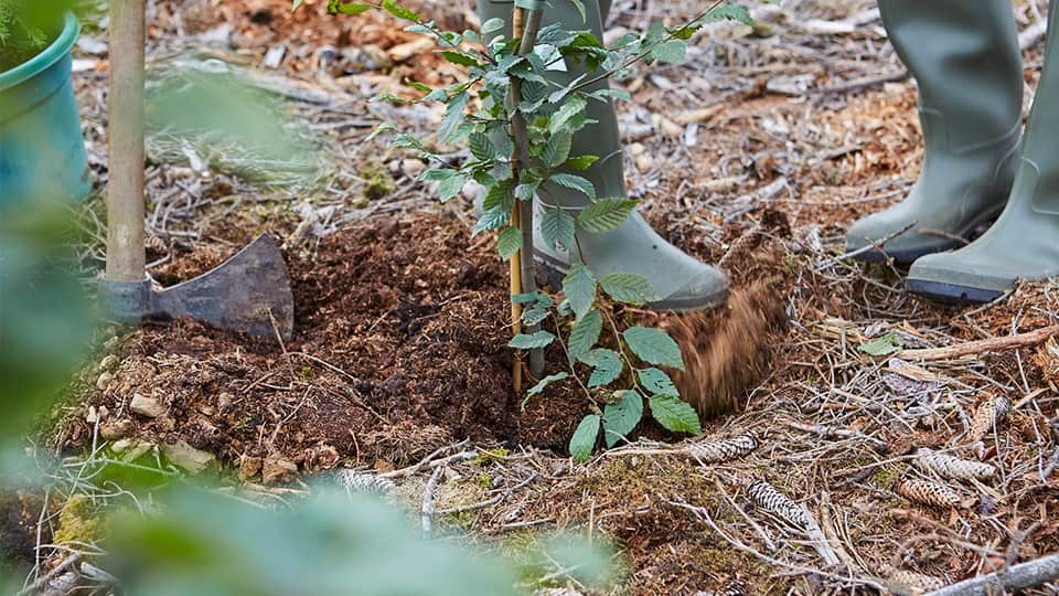 einpflanzen-hacke-gummistiefel_imageslider