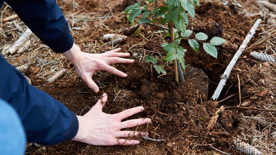 erde-andruecken_imageslider