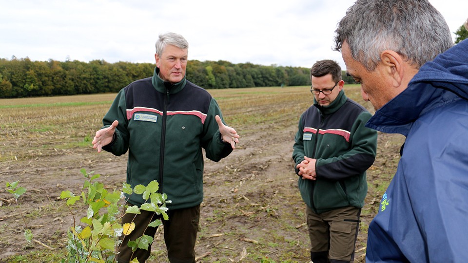 walller-scherer-nowak_imageslider